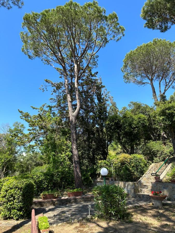 Appartamenti Portiglioni-Belvedere Puntone di Scarlino Exteriör bild